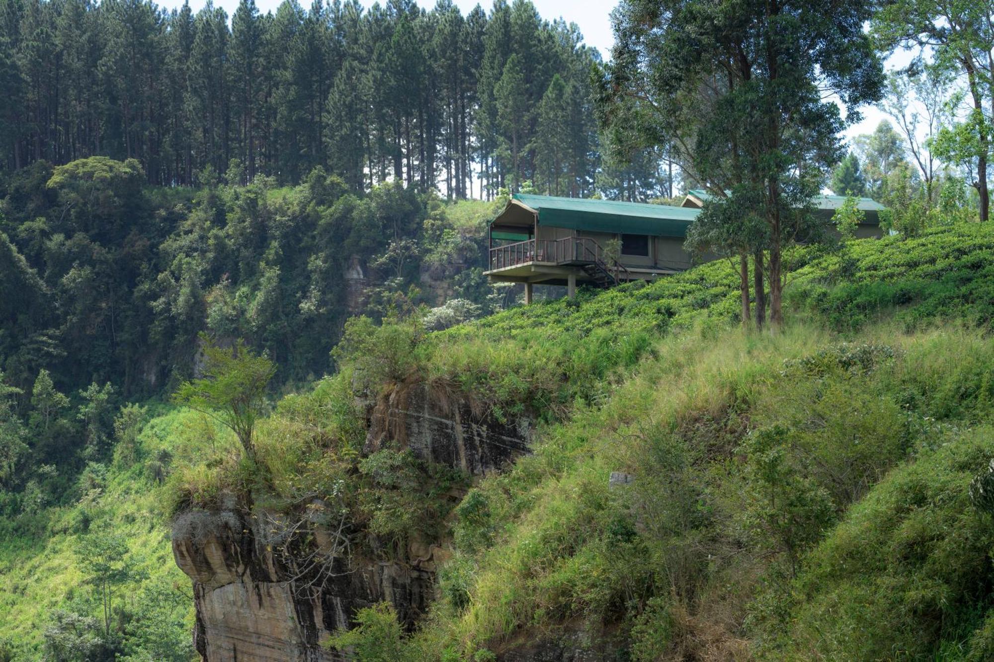 Madulkelle Tea And Eco Lodge Kandy Exterior photo