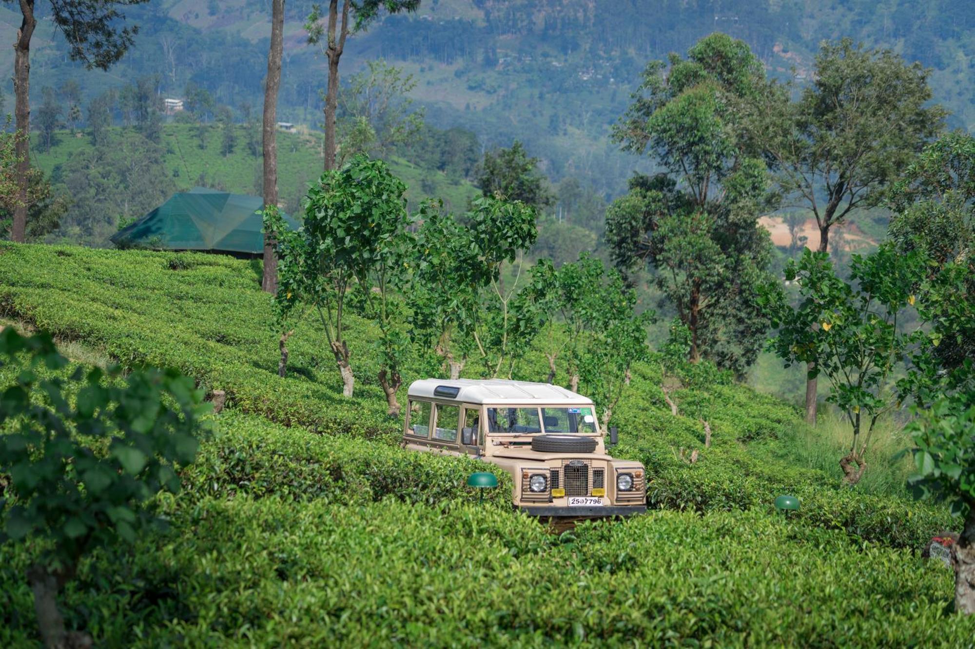Madulkelle Tea And Eco Lodge Kandy Exterior photo